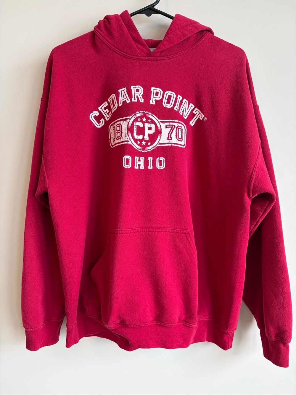 Gildan Red Cedar Point Ohio Crewneck Hoodie Large